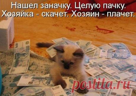 МОРЕ ПОЗИТИВА!!!
Владимир Власов