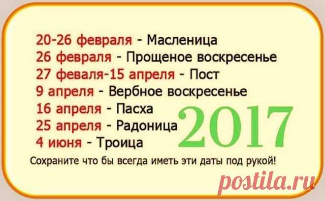 Сад | Огород | Дача | Агротехника
