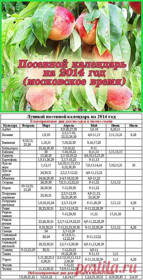 Лунный посевной календарь на 2014 год | ВСЁ ДЛЯ ДОМА