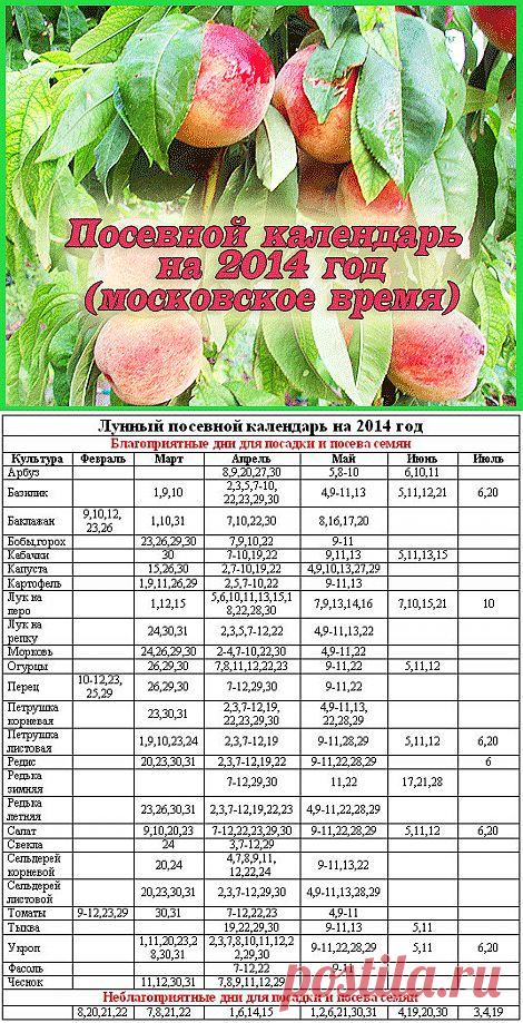 Лунный посевной календарь на 2014 год | ВСЁ ДЛЯ ДОМА