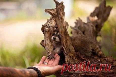 Доверься мне...