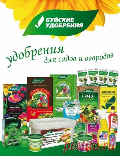 Правильное питание садовых и огородных культур — вопрос серьезный! -