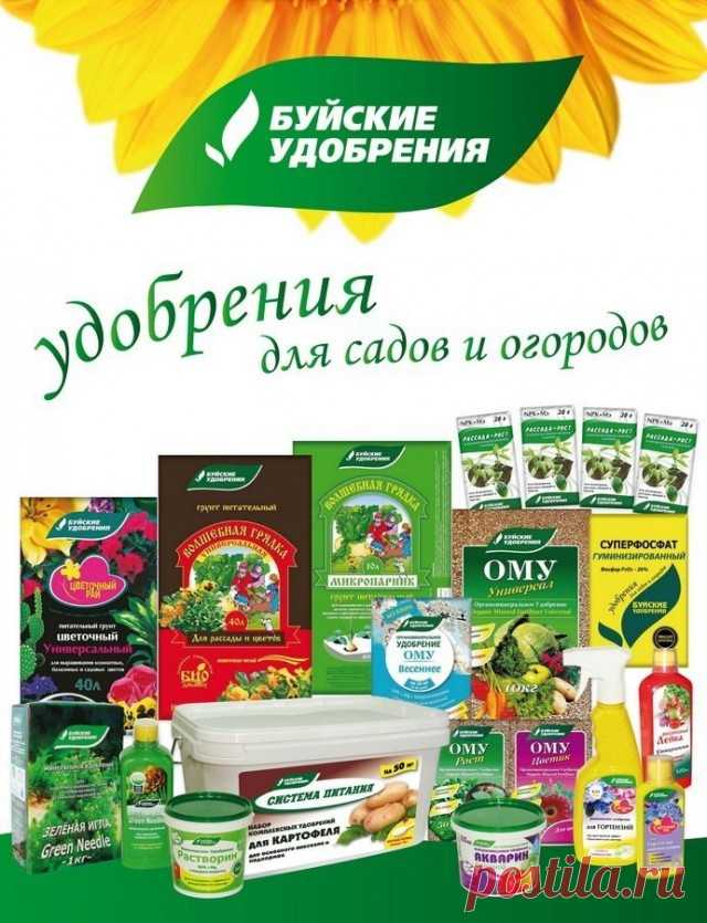 Правильное питание садовых и огородных культур — вопрос серьезный! -