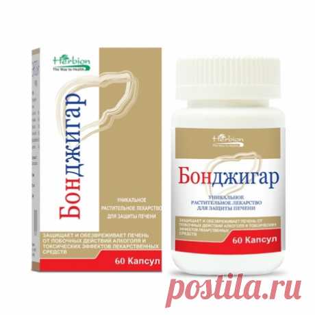 Бонджигар №60 капсулы (Гепатопротектор) - Аптечная сеть «Вивафарм»