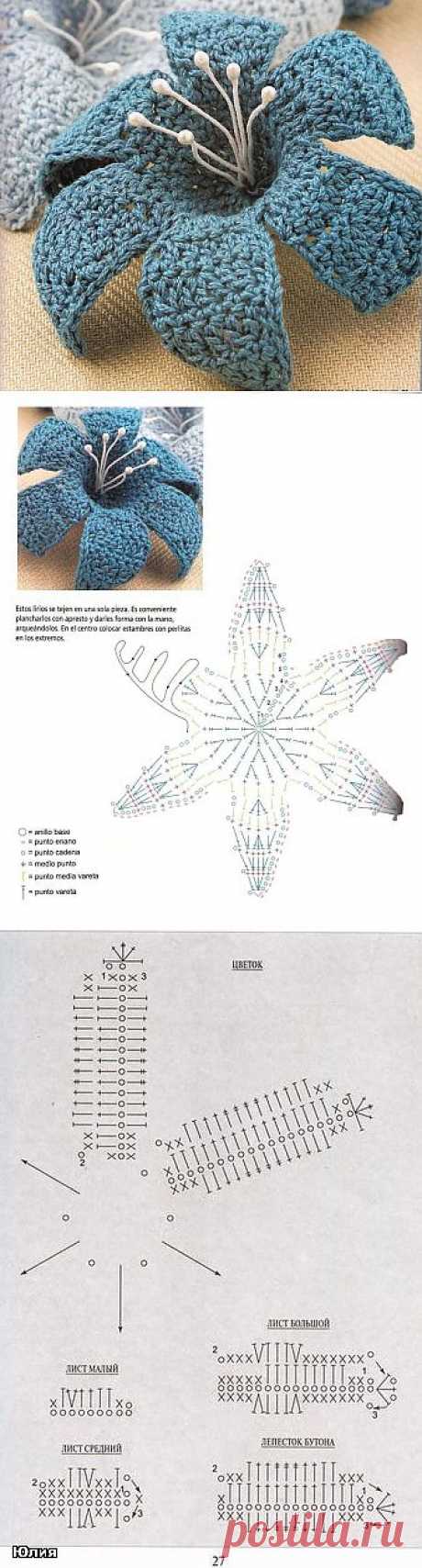 Scheme crochet flowers. Crochet flowers with their hands | Laboratory household