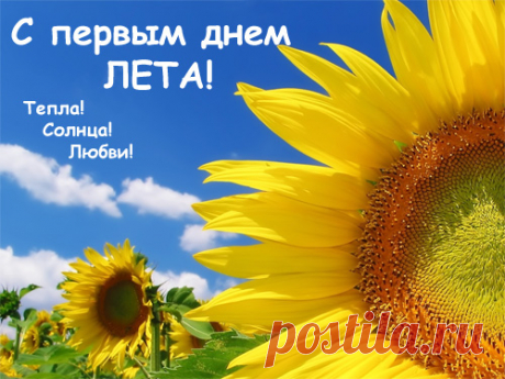 Открытка - с первым днем лета, №1086. Раздел «Открытки с цветами: подсолнухи»