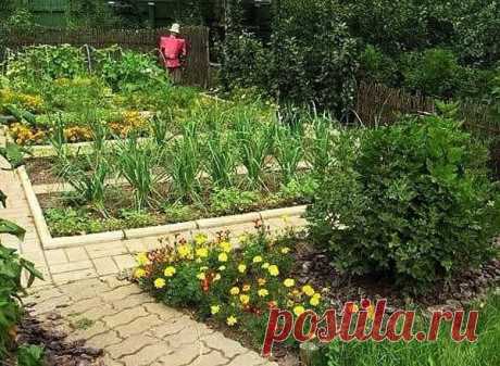 СОЛЬ, ЧЕСНОК, КЕФИР, ГОРЧИЦА ДЛЯ УРОЖАЯ