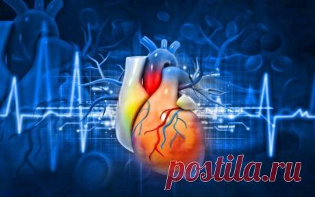 Боремся с болезнями сердца и сосудов народными методами