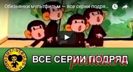 Обезьянки, мультфильм, все серии, высокое качество HD, смотреть мультики онлайн бесплатно | Русская сказка О мультфильме Обезьянки Многосерийный мультфильм «Обезьянки», несомненно, можно назвать самым любимым анимационным сериалом советских зрителей. Причём любили и любят этот мультфильм и дети, и