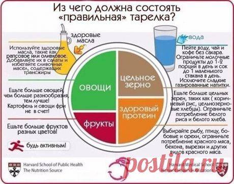 Из чего должна состоять правильная тарелка