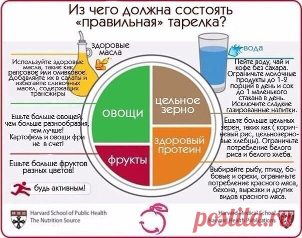 Из чего должна состоять правильная тарелка