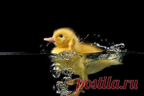 (11) Одноклассники