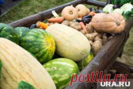 2-9-25--Китай УВЕЛИЧИЛ ПОСТАВКИ ОВОЩЕЙ И ФРУКТОВ в РФ на 46% с начала года Читайте на URA.RU
