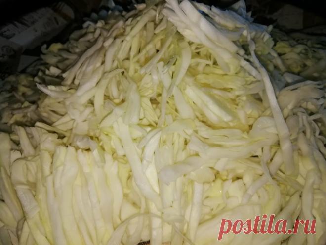 Никто не верит, что это приготовлено из обычной капусты. Устала рассказывать рецепт | Кулинарный техникум | Яндекс Дзен
