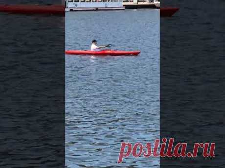 Hamburg / прекрасные моменты #travel #hamburg #nature