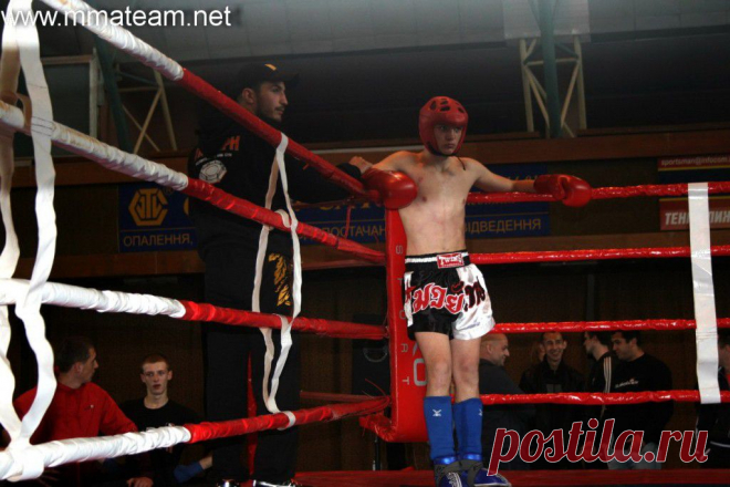 Новости :: Триумф