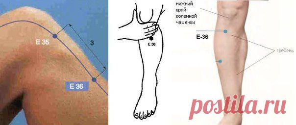 Светлана Куракина
