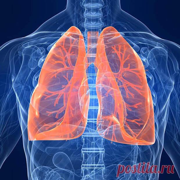 Болезни лёгких: уникальная лечебная гимнастика Сителя - ПолонСил.ру - социальная сеть здоровья - Медиаплатформа МирТесен Причиной многих заболеваний являются функциональные биомеханические нарушения в позвоночнике. Предлагаем вашему вниманию лечебные позы-движения на расслабление различных групп мышц, которые избавят вас от головных и сердечных болей, помогут нормализовать кровяное давление, окажут положительное - 28 апреля - 43568783337 - Медиаплатформа МирТесен