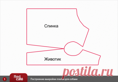 RedCafe | Построение выкройки платья для собаки