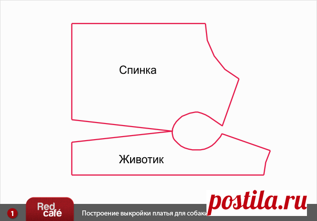 RedCafe | Построение выкройки платья для собаки