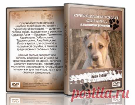 Алабай Среднеазиатская овчарка