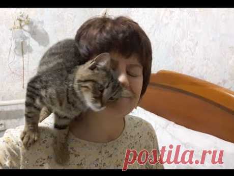 ВЛОГ Как поливать денежные деревья зимой. Котенок лечит. МЛМ.