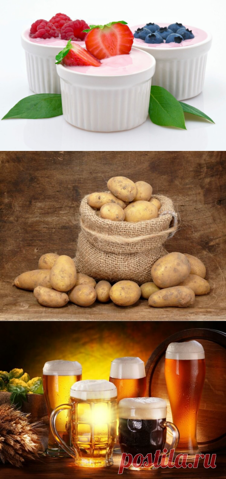 15 продуктов, которые нельзя замораживать | Fresh.ru домашние рецепты | Яндекс Дзен