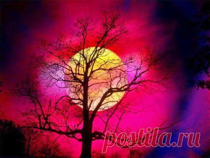 Если тебе говорят, что уже поздно – то ты потерял не время, а значимость.

Милена Райт﻿