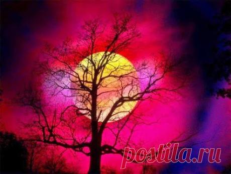 Если тебе говорят, что уже поздно – то ты потерял не время, а значимость.

Милена Райт﻿