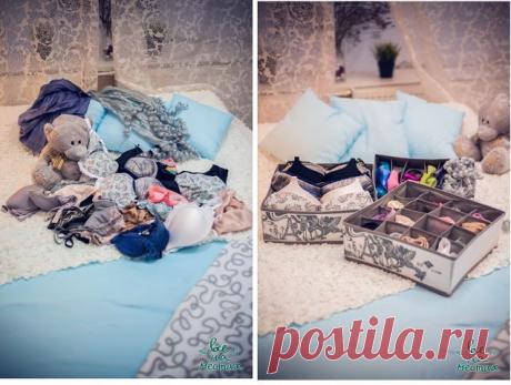 оргонайзер