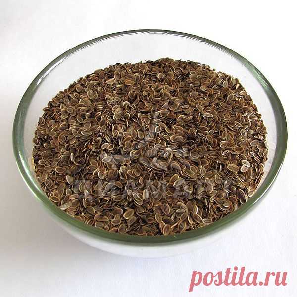 Специи в народной медицине. Розмарин, укроп, лавровый лист