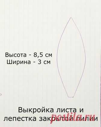 Выкройка листа и лепестка закрытой лилии.jpg — Яндекс.Диск
