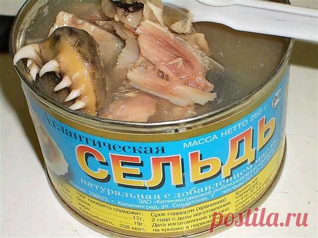 Татьяна Владимировна
30 лет, Мозамбик, ©Свободный