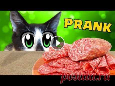 РОЗЫГРЫШ НАД КОТАМИ! СМЕШНОЙ КОТ МАЛЫШ И КОШЕЧКА МУРКА ИЩУТ КОЛБАСУ!  Очень смешной прикол НОВЫЕ РОЗЫГРЫШИ НАД КОТАМИ! СМЕШНОЙ КОТ МАЛЫШ И КОШЕЧКА МУРКА ИЩУТ КОЛБАСУ! РОЗЫГРЫШ КОЛБАСОЙ! В новом видео на канале А ну-ка Давайка лучшие приколы ...