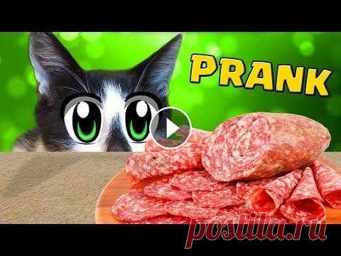 РОЗЫГРЫШ НАД КОТАМИ! СМЕШНОЙ КОТ МАЛЫШ И КОШЕЧКА МУРКА ИЩУТ КОЛБАСУ!  Очень смешной прикол НОВЫЕ РОЗЫГРЫШИ НАД КОТАМИ! СМЕШНОЙ КОТ МАЛЫШ И КОШЕЧКА МУРКА ИЩУТ КОЛБАСУ! РОЗЫГРЫШ КОЛБАСОЙ! В новом видео на канале А ну-ка Давайка лучшие приколы ...