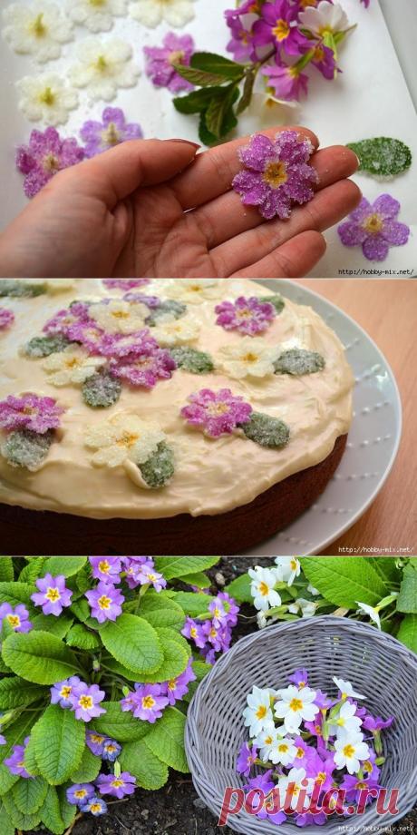 Съедобные цветы - кристаллизация первоцветов для тортов и десертов.