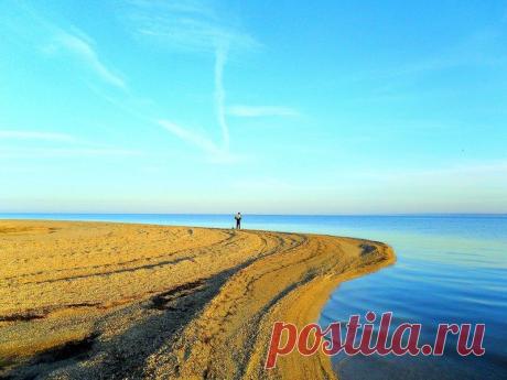 В гостях у обитателей песчаного берега - 29 Сентября 2015 - Персональный сайт