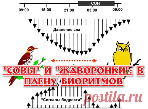 Замечали, как 