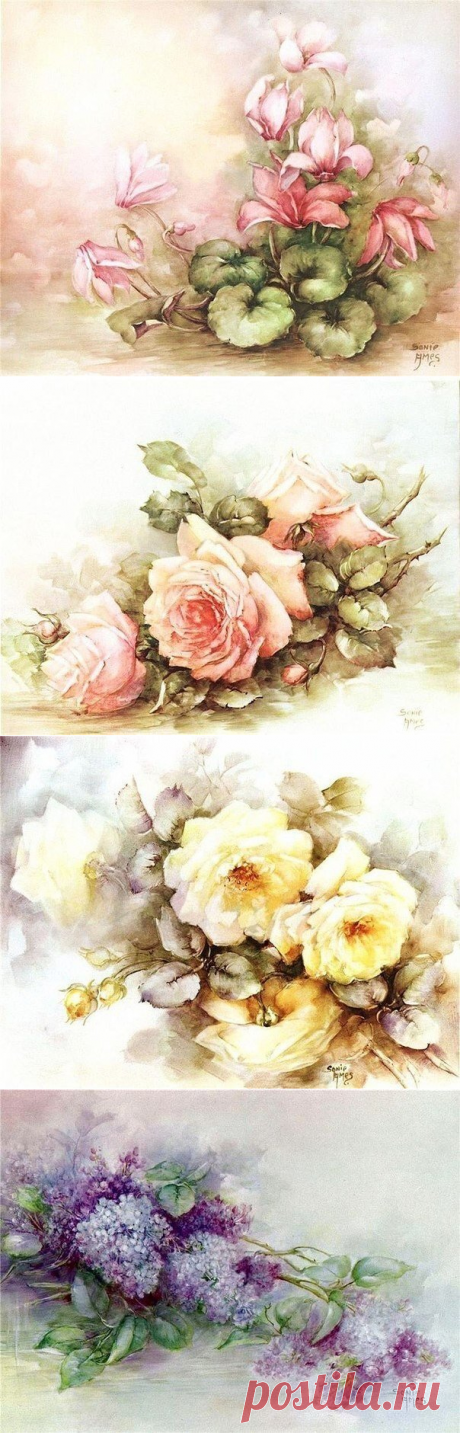 Я люблю размытость акварели. Натюрморты Sonie Amens