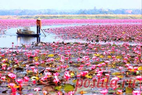 Интересные новости