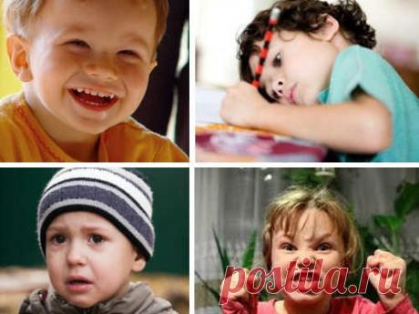 Энергетика темперамента: сильные и слабые стороны Все люди разные, однако в поведении каждого человека могут быть черты, присущие не только ему. Темперамент — вот что зачастую определяет характер и поведение наших друзей, близких и нас самих.