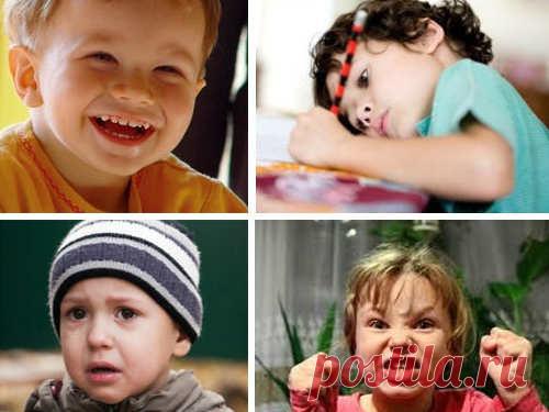 Энергетика темперамента: сильные и слабые стороны Все люди разные, однако в поведении каждого человека могут быть черты, присущие не только ему. Темперамент — вот что зачастую определяет характер и поведение наших друзей, близких и нас самих.