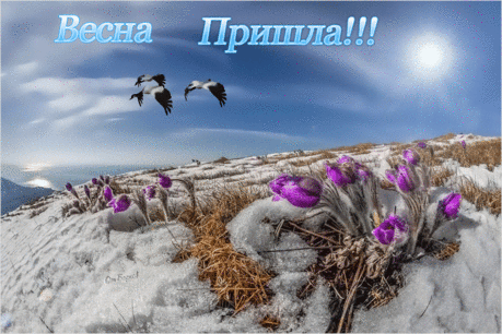 Весна пришла! - Весна открытки - Времена года картинки