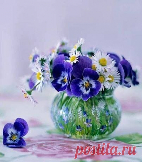 (14) Elifce Örgüler