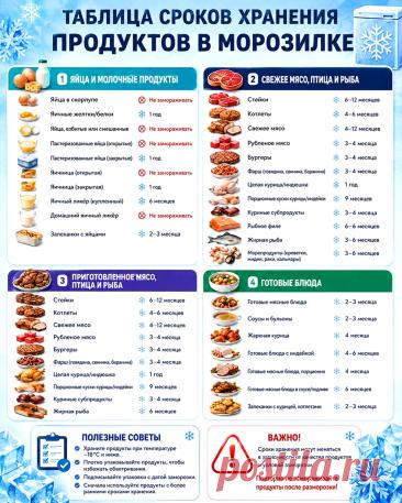 Таблица сроков хранения продуктов в морозилке