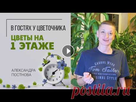 Навожу порядок на 1 этаже | Часть 1 | Пересадка растений Добро пожаловать ко мне в гости) Я решила навести зеленую красоту на 1 этаже своего дома. Буду пересаживать огромное количество своих крупномеров в кр...