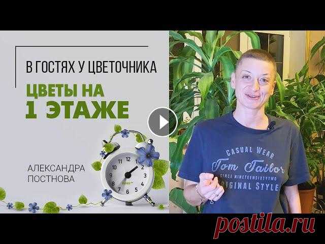 Навожу порядок на 1 этаже | Часть 1 | Пересадка растений Добро пожаловать ко мне в гости) Я решила навести зеленую красоту на 1 этаже своего дома. Буду пересаживать огромное количество своих крупномеров в кр...
