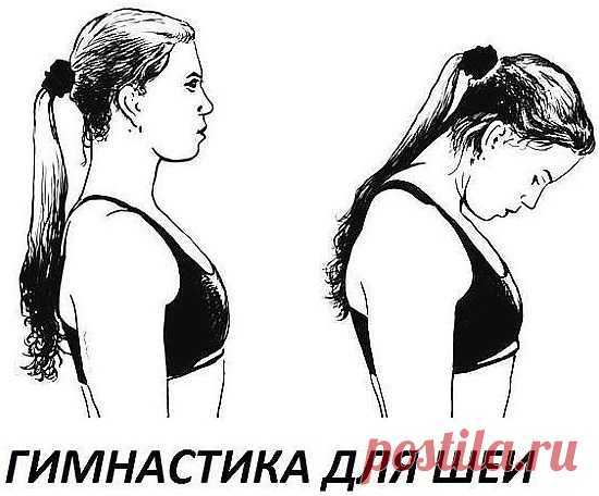 Гимнастика для шеи