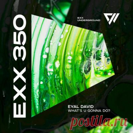 Eyal David - What's U Gonna Do?
