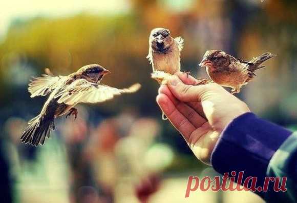 Потрясающая притча!.